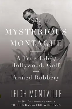 the mysterious montague book cover image