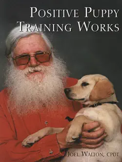 positive puppy training works book cover image