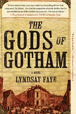 the gods of gotham book cover image