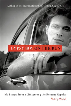 gypsy boy on the run book cover image
