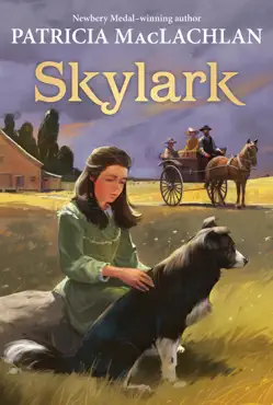 skylark book cover image