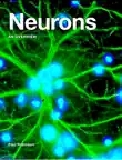 Neurons synopsis, comments