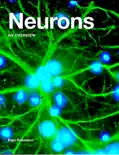 Neurons reviews