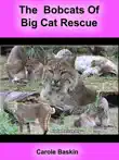 The Bobcats of Big Cat Rescue synopsis, comments
