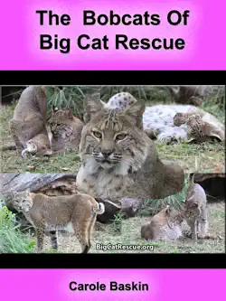 the bobcats of big cat rescue book cover image
