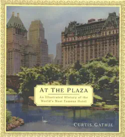at the plaza book cover image