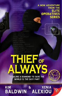 thief of always book cover image