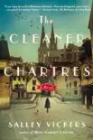 The Cleaner of Chartres synopsis, comments