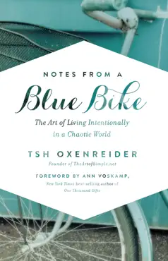 notes from a blue bike book cover image