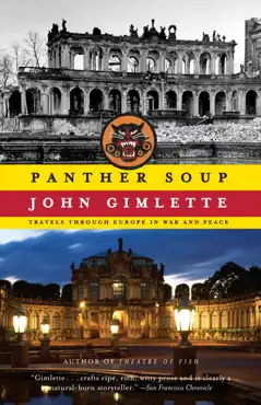 panther soup book cover image