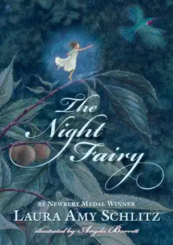 the night fairy book cover image