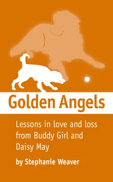 golden angels book cover image