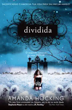 dividida book cover image