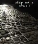 Step On A Crack e-book