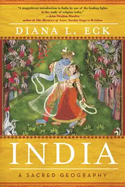 india book cover image