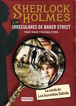 sherlock holmes y los irregulares de baker street. la caída de los increíbles zalinda book cover image