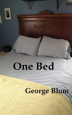 one bed book cover image