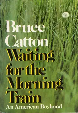 waiting for the morning train book cover image