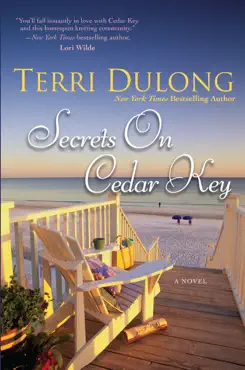 secrets on cedar key book cover image
