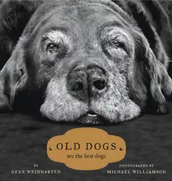 old dogs book cover image