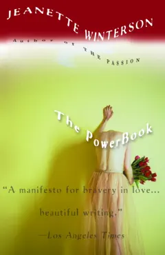 the powerbook book cover image
