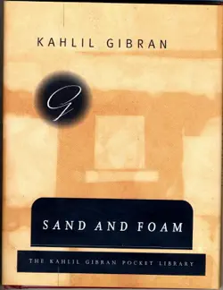 sand and foam book cover image