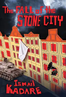the fall of the stone city book cover image