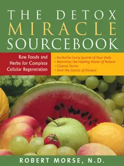 the detox miracle sourcebook book cover image