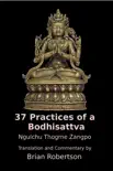 37 Practices of a Bodhisattva synopsis, comments