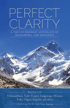 perfect clarity book cover image