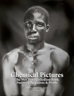 chemical pictures imagen de la portada del libro