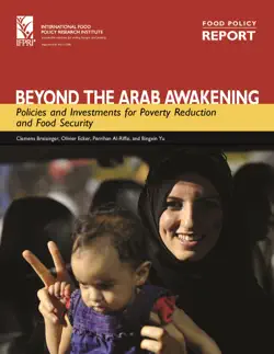 beyond the arab awakening book cover image