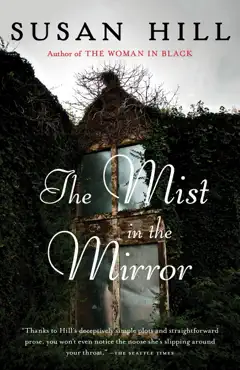 the mist in the mirror book cover image