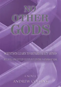 no other gods book cover image