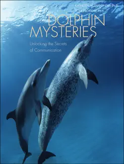 dolphin mysteries book cover image
