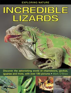 incredible lizards book cover image