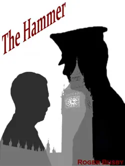 the hammer book cover image