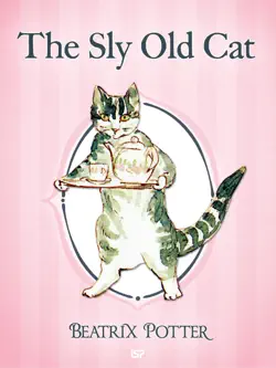 the sly old cat book cover image