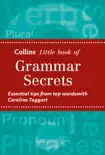 Grammar Secrets sinopsis y comentarios