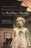 The Bonfire Of Berlin synopsis, comments