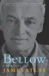 Bellow synopsis, comments