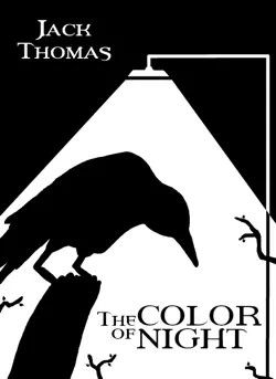 the color of night imagen de la portada del libro