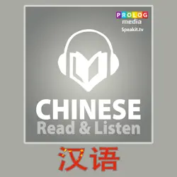 chinese phrase book | read & listen | fully audio narrated (51006) book cover image