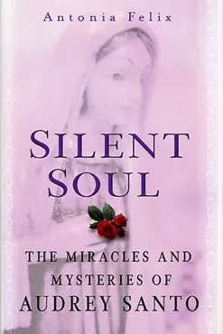 silent soul book cover image