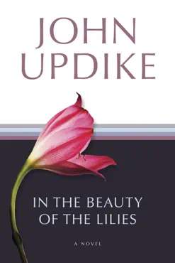 in the beauty of the lilies book cover image