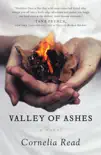 Valley of Ashes synopsis, comments