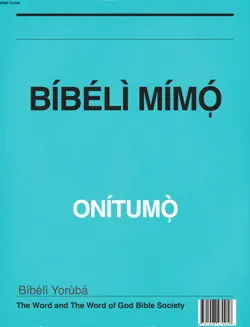 bibeli mimo - twogbs book cover image