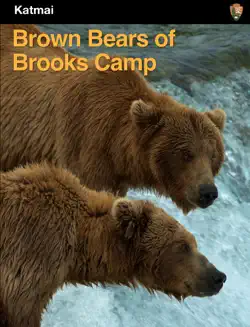 brown bears of brooks camp book cover image