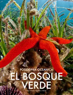posidonia oceanica imagen de la portada del libro