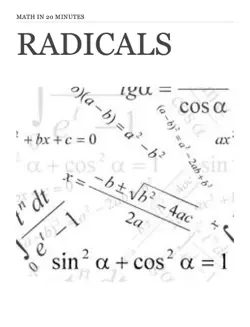 radicals book cover image